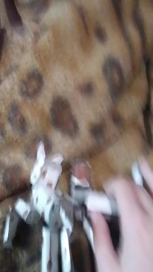 влог