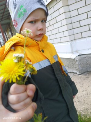 кочалка