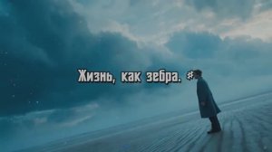 Жизнь, как зебра. #