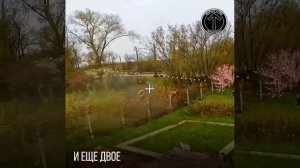 Попытки передвижения на квадроциклах в зоне ответственности ударных расчетов РФ заканчивается одинак