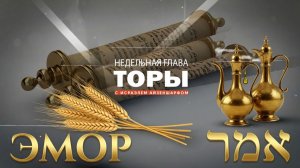 раздел Торы «Эмор» в раввином Исраэлем Айзеншарфом