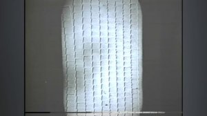 техника ультратонких срезов для серийной реконструкции от Джона Кинамуна .mp4
