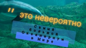 Самый большой Океанариум в Мире