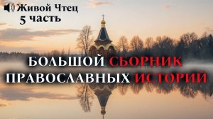 ДЛЯ ДУШИ БОЛЬШОЙ СБОРНИК ПРАВОСЛАВНЫХ ИСТОРИЙ 5