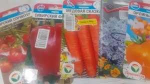 04.05.2026 Получила семена. Отвечаю на вопрос о необычной форме участка.