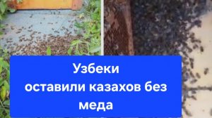 Узбеки оставили казахов без меда