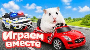 ХОМЯК ВЫБИРАЕТСЯ ИЗ СЕКРЕТНОЙ ХОМЯЧЕЙ ТЮРЬМЫ ! Играем ВМЕСТЕ ! Помогаем выбраться из лабиринта №22