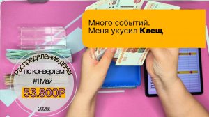 #4 Май распределение семейного бюджета: меня укусил клещ, затягиваем пояса