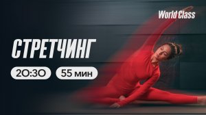 СТРЕТЧИНГ с Олегом Красиным | 4 мая 2026 | Онлайн-тренировки World Class