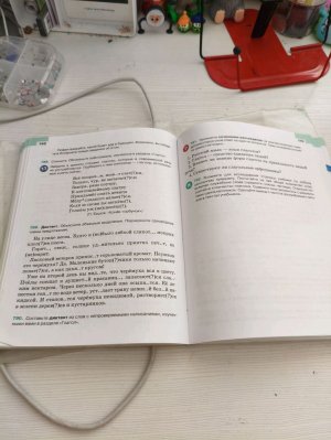 делаю уроки