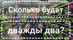 Аналитический обзор на канал Ольга Уралочка live от 4 мая 2026 года. 105 ролик про столы и лавки...