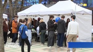 Пресс-конференция министра труда и социальной защиты населения Ставропольского края
