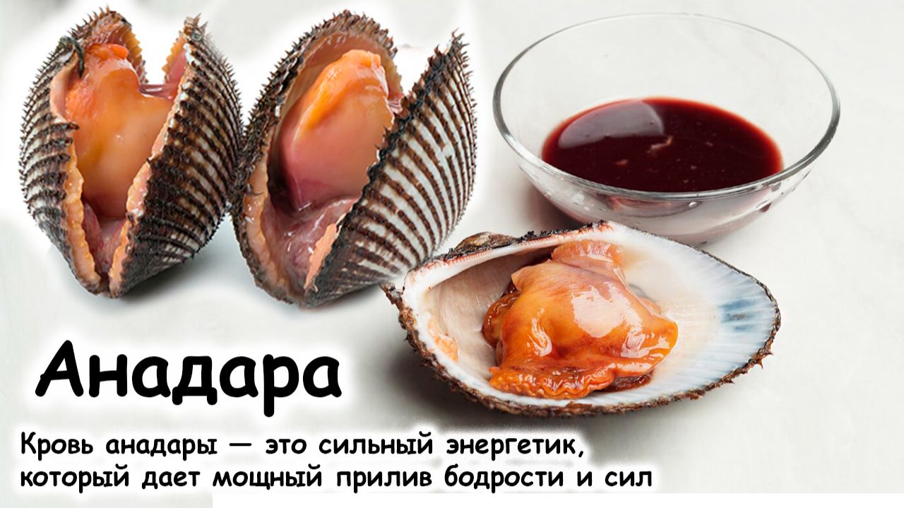 Анадара как разделать