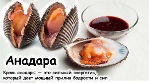 Анадара как разделать