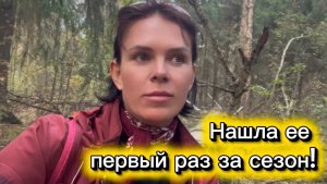 Первая ювелирка сезона! Что ценного потеряли собачники на лужайке у речки?