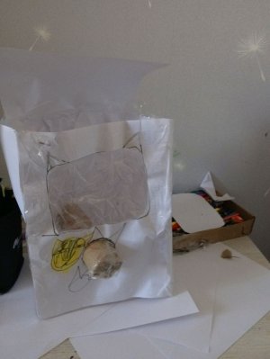 делаю дракона с основой.