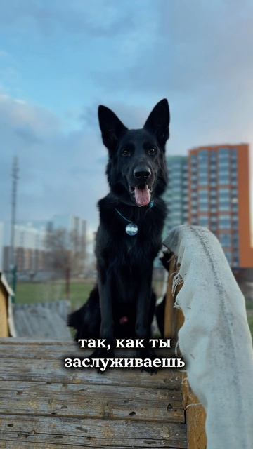 однажды