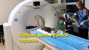 Первый день лучевой терапии.