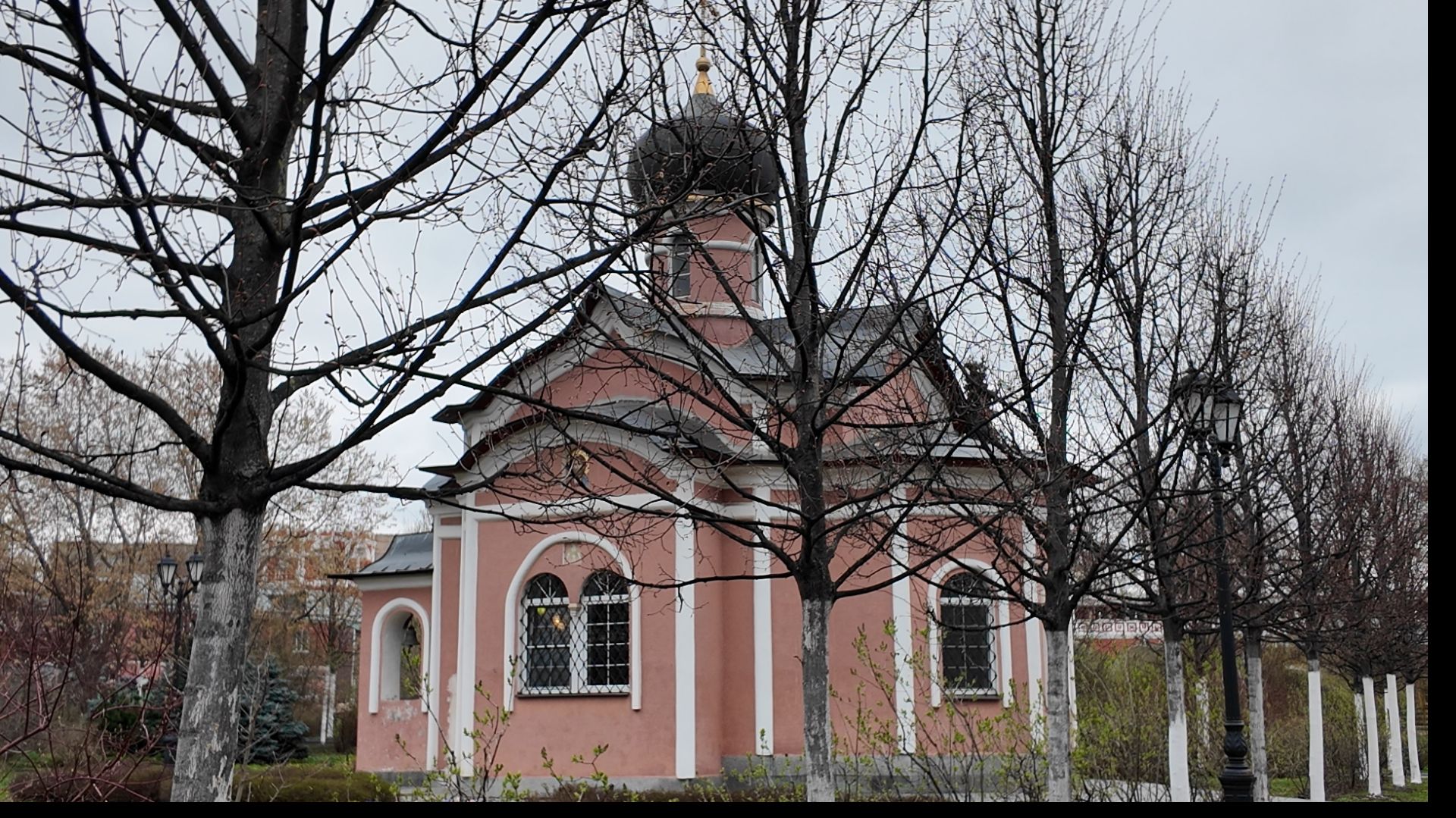 Церковь Александра Невского и церковь Александра Свирского в Донском монастыре