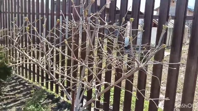 Реальный день из нашей жизни