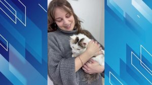 В Парке 30-летия Победы прошла фотовыставка-пристройство животных