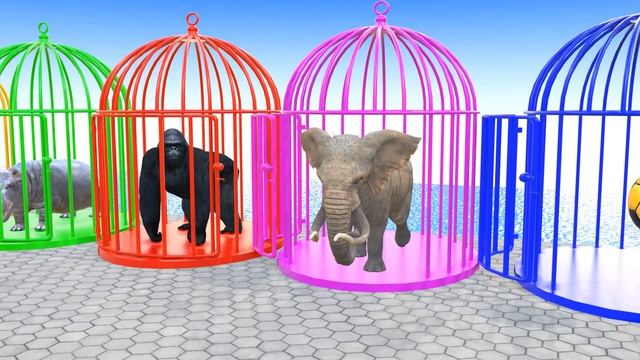 Long Slide Game With Cow Elephant Gorilla Hippopotamus Tiger - 3d Animal Game - Funny 3d Animals_par