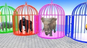 Long Slide Game With Cow Elephant Gorilla Hippopotamus Tiger - 3d Animal Game - Funny 3d Animals_par