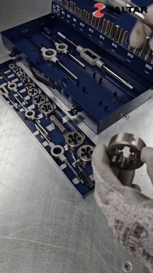 Набор резьбонарезного инструмента ZALTAR STM 35 HSS, 54 предмета ZA-10723