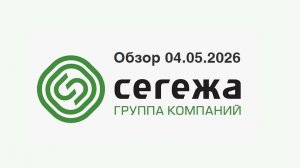 Обзор акции сегежи на 04.05.2026