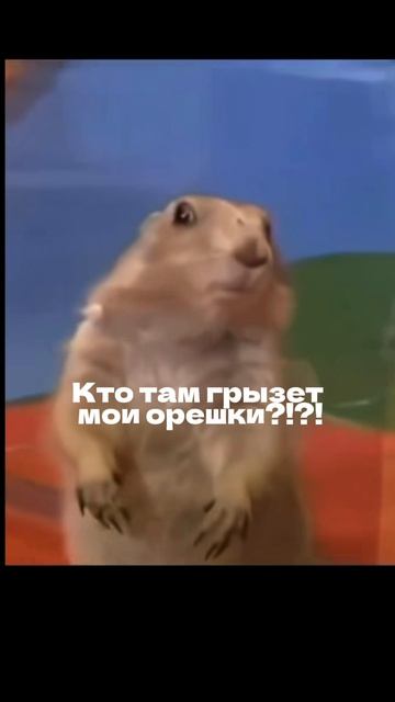 Отгадываем загадки #клиникаритм #ритмуланудэ #врачиуланудэ смотреть онлайн