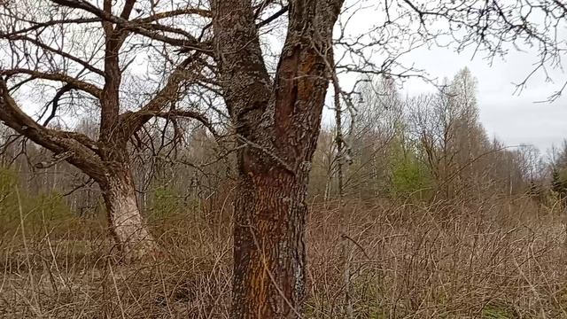Наслаждение природой. Душа радуется