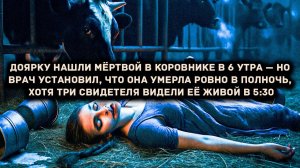 Доярку нашли в 6 утра — врач установил [АУДИОКНИГА/ДЕТЕКТИВ]