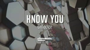 Unlodge - Know you #deep_house #dance #pop
