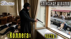 06.01 Александр Шувалов «Боевые псы империи» (книга 6) «Коллега» (часть 1)