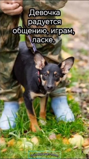 Не предай!