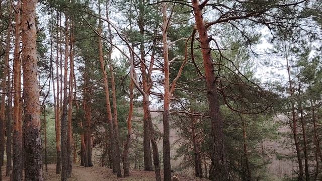 "Липовые" дипломы и о том как один начальник погорел на борьбе с коррупцией