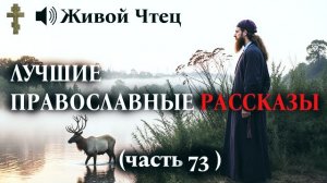 ВЫГНАЛ СТАРИКА В МЕТЕЛЬ, НЕ УЗНАВ ЕГО... ЛУЧШИЕ ПРАВОСЛАВНЫЕ РАССКАЗЫ часть 73
