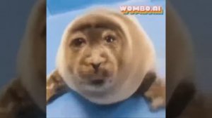 Как называется видео?
