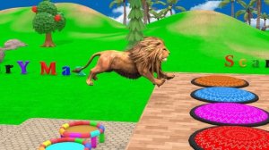 Long Slide Game With Cow Elephant Gorilla Hippopotamus Tiger - 3d Animal Game - Funny 3d Animals_par
