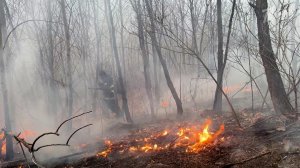 В 12 российских регионах зафиксировано 45 очагов возгорания.