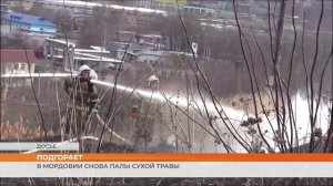 В Мордовии снова палы сухой травы