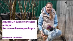 ПОЧЕМУ СКРУЧИВАЮТСЯ ЛИСТЬЯ НА ЯБЛОНЕ? Срочная обработка акарицидами