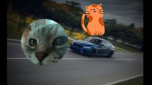 кас, Эдит BMW M5 F90