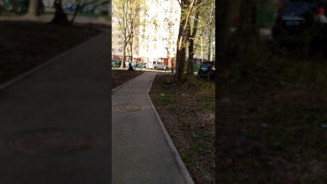 1000028764.mp4 смотреть онлайн