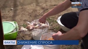 За год в России продажи шашлыка упали на 10%