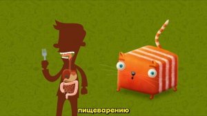 🎈Развлечёба. Окружающий мир. Про пищеварение.