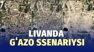🍿 Isroil Livan janubini tekislab tashlamoqda