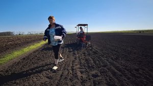 3 мая Посадили тыкву и кабачки под картофелесажалку,не знаю что будет, впервые так сажали