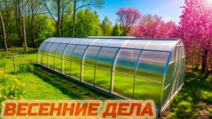 Переделка налицо: что я сделал не так с парником