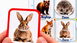 Лесные животные для детей 🦊 Учим животных | Развивающее видео для малышей